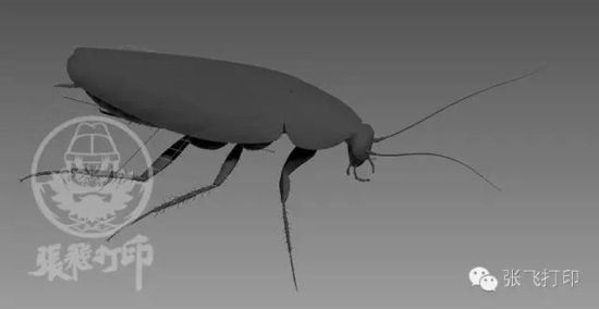 3D打印蟑螂小強誕生記(超精細) 妹紙膽小也可入
3D打印蟑螂,3D打印小強,3D打印技術,3D打印服務,3D打印平臺,e鍵打印