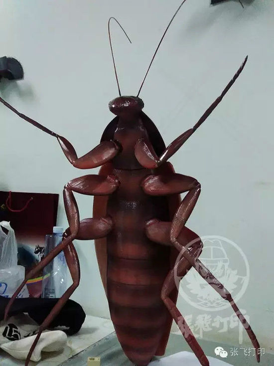 3D打印蟑螂小強誕生記(超精細) 妹紙膽小也可入
3D打印蟑螂,3D打印小強,3D打印技術,3D打印服務,3D打印平臺,e鍵打印