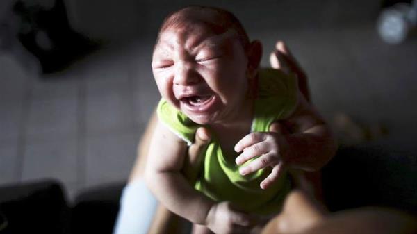 科學(xué)家攻克Zika病毒 高中生攜3D打印來幫忙
Zika病毒,3D打印醫(yī)療行業(yè),3D打印材料價格,3D打印技術(shù),3D打印材料,3D打印成本,3D打印價格