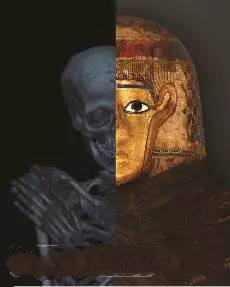 3D打印技術助歷史學家剖析木乃伊"結構"_e鍵打印服務平臺 3D打印技術助歷史學家剖析木乃伊"結構"_e鍵打印服務平臺