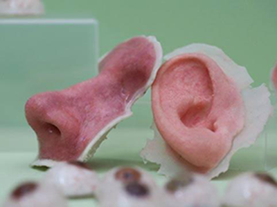 3d打印應用案例:3D打印人體器官的那些事兒 3d打印應用案例:3D打印人體器官的那些事兒