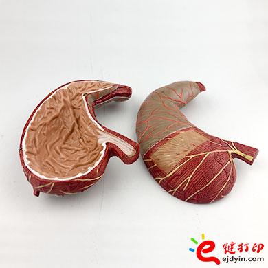 人體胃部復(fù)模手板